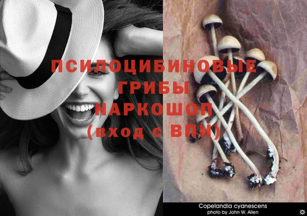 кокаин колумбия Аркадак